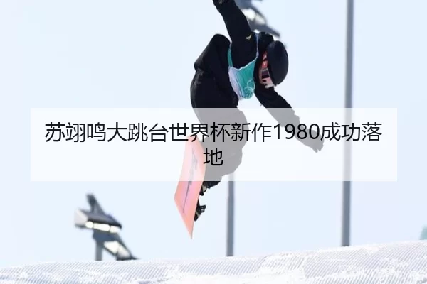 su-yi-ming-da-tiao-tai-shi-jie-bei-xin-zuo-cheng-gong-luo-di-2-548.jpg